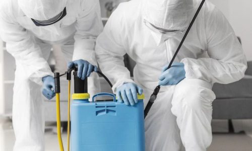 İlaçlama Blog Rehberi – blog.mobil.gmoplus.com